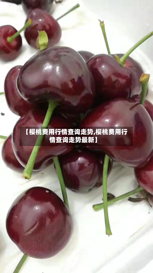 【樱桃费用行情查询走势,樱桃费用行情查询走势最新】