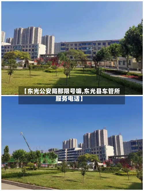 【东光公安局那限号嘛,东光县车管所服务电话】