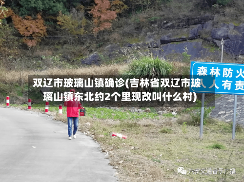 双辽市玻璃山镇确诊(吉林省双辽市玻璃山镇东北约2个里现改叫什么村)