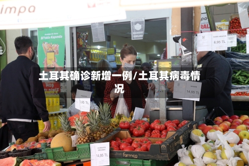 土耳其确诊新增一例/土耳其病毒情况