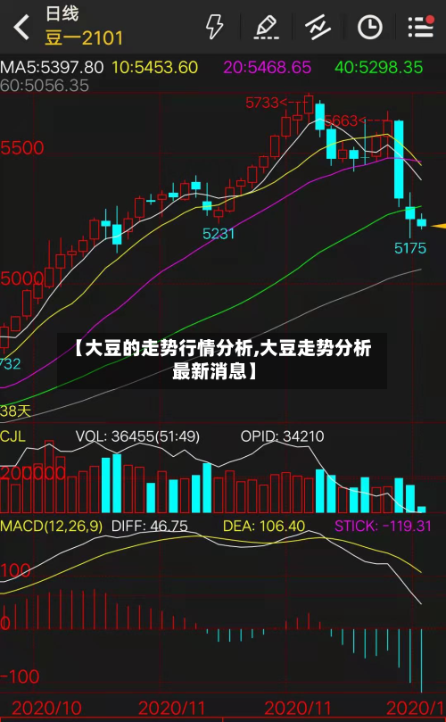 【大豆的走势行情分析,大豆走势分析最新消息】