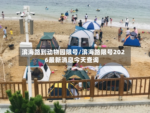 滨海路到动物园限号/滨海路限号2026最新消息今天查询