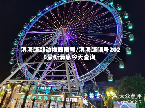 滨海路到动物园限号/滨海路限号2026最新消息今天查询