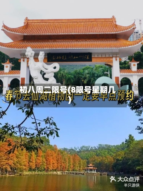 初八周二限号(8限号星期几)