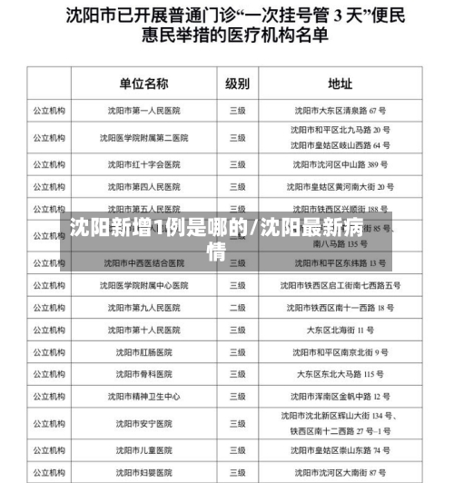 沈阳新增1例是哪的/沈阳最新病情