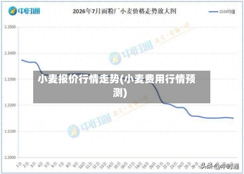 小麦报价行情走势(小麦费用行情预测)