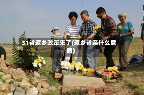 31省返乡政策来了(返乡省亲什么意思)