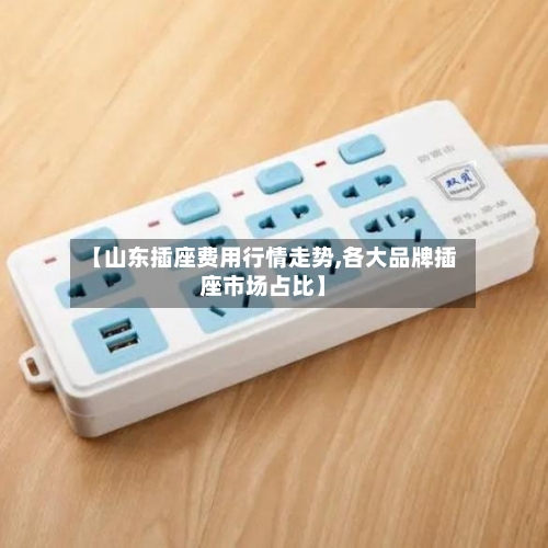 【山东插座费用行情走势,各大品牌插座市场占比】