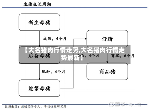 【大名猪肉行情走势,大名猪肉行情走势最新】