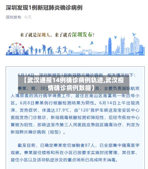 【武汉通报14例确诊病例轨迹,武汉疫情确诊病例数据】