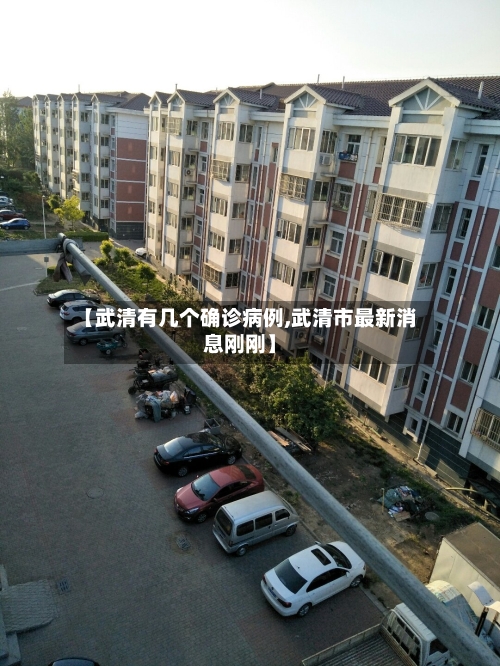 【武清有几个确诊病例,武清市最新消息刚刚】
