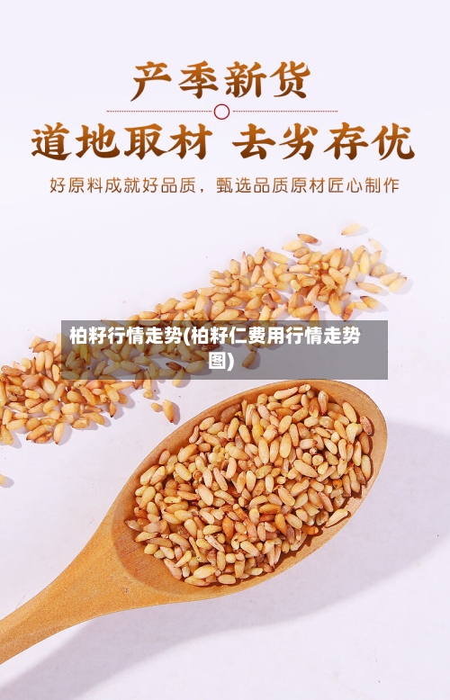 柏籽行情走势(柏籽仁费用行情走势图)