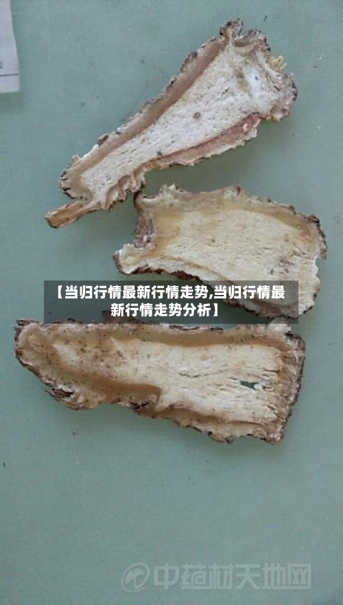 【当归行情最新行情走势,当归行情最新行情走势分析】