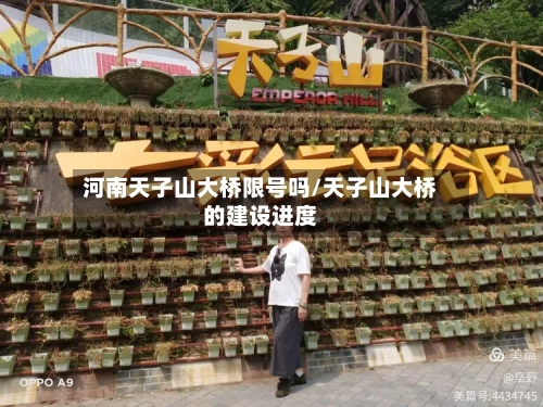 河南天子山大桥限号吗/天子山大桥的建设进度