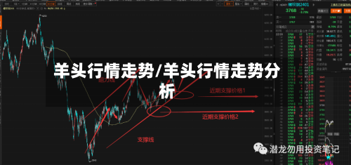 羊头行情走势/羊头行情走势分析