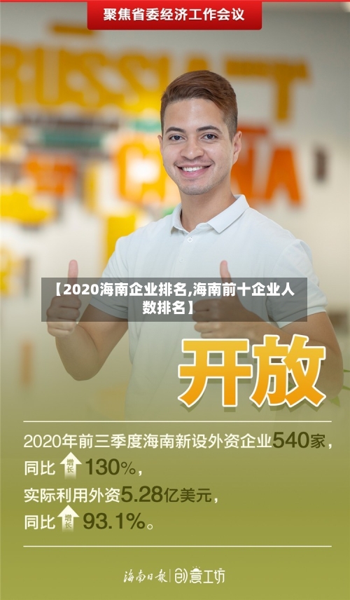 【2020海南企业排名,海南前十企业人数排名】