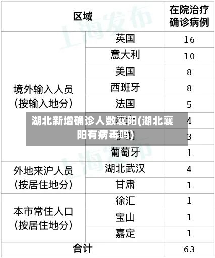 湖北新增确诊人数襄阳(湖北襄阳有病毒吗)