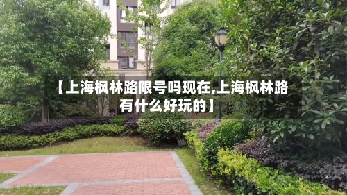 【上海枫林路限号吗现在,上海枫林路有什么好玩的】