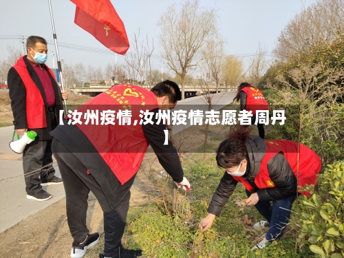 【汝州疫情,汝州疫情志愿者周丹】