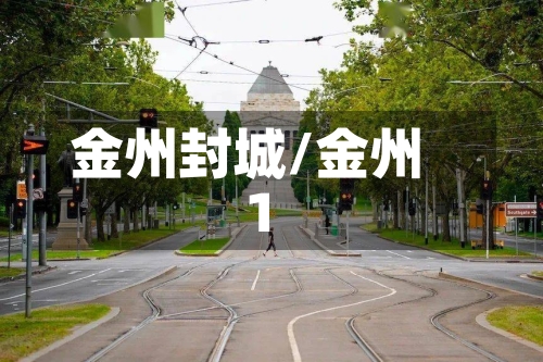 金州封城/金州1