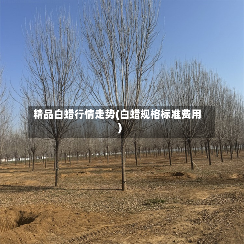 精品白蜡行情走势(白蜡规格标准费用)