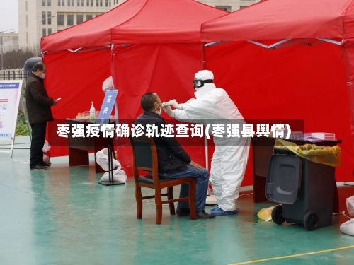 枣强疫情确诊轨迹查询(枣强县舆情)