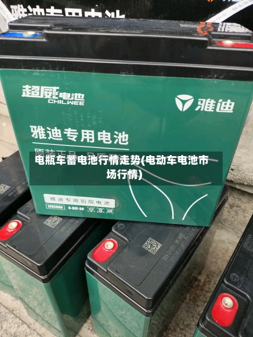 电瓶车蓄电池行情走势(电动车电池市场行情)