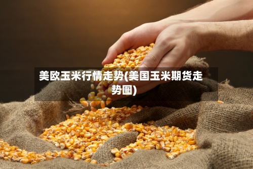 美欧玉米行情走势(美国玉米期货走势图)