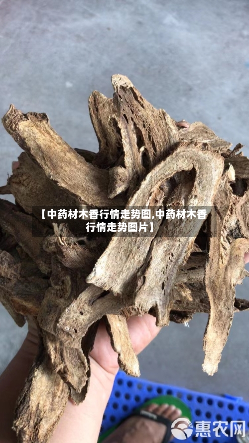 【中药材木香行情走势图,中药材木香行情走势图片】