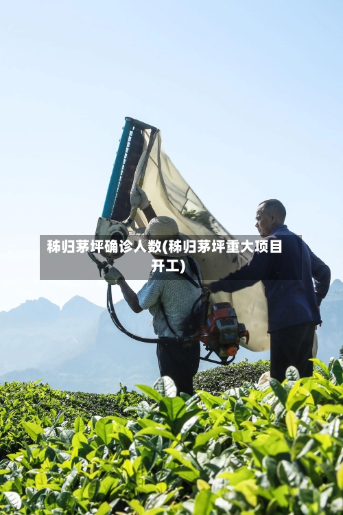 秭归茅坪确诊人数(秭归茅坪重大项目开工)