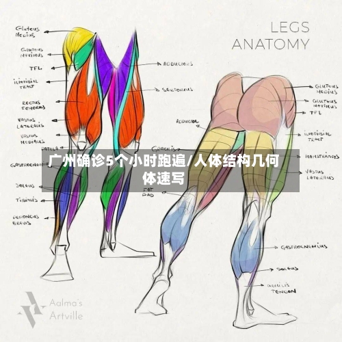 广州确诊5个小时跑遍/人体结构几何体速写