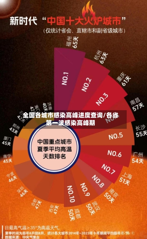 全国各城市感染高峰进度查询/各省第一波感染高峰期