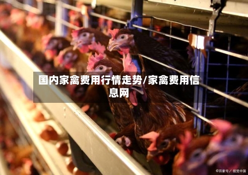国内家禽费用行情走势/家禽费用信息网