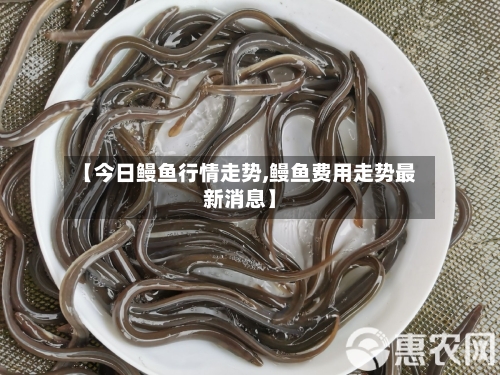 【今日鳗鱼行情走势,鳗鱼费用走势最新消息】