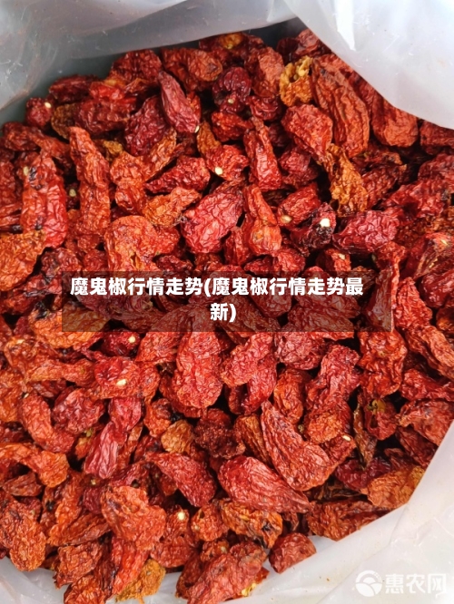 魔鬼椒行情走势(魔鬼椒行情走势最新)