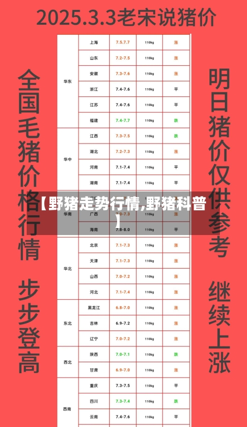【野猪走势行情,野猪科普】