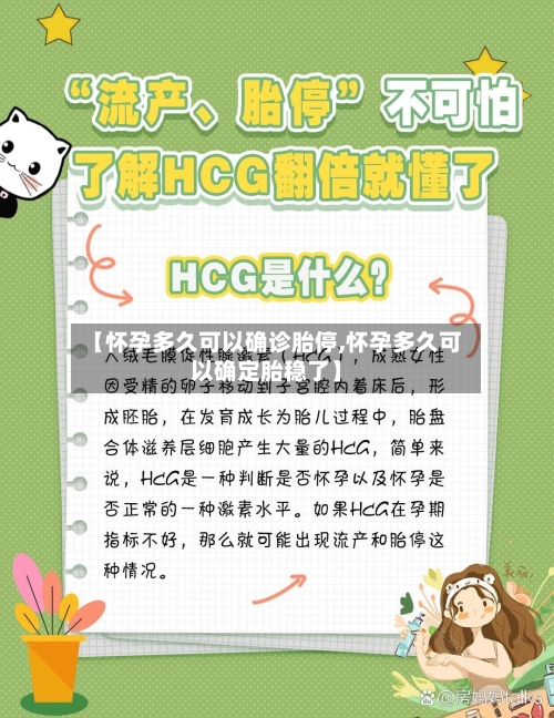 【怀孕多久可以确诊胎停,怀孕多久可以确定胎稳了】