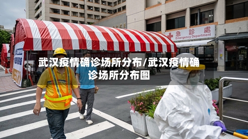 武汉疫情确诊场所分布/武汉疫情确诊场所分布图