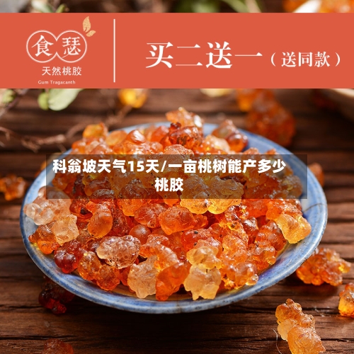 科翁坡天气15天/一亩桃树能产多少桃胶