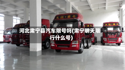 河北肃宁县汽车限号吗(肃宁明天限行什么号)