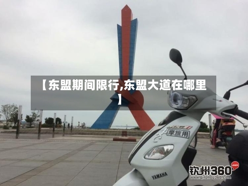 【东盟期间限行,东盟大道在哪里】