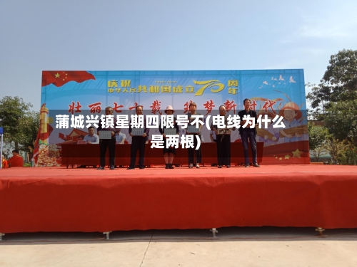 蒲城兴镇星期四限号不(电线为什么是两根)