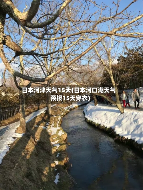 日本河津天气15天(日本河口湖天气预报15天穿衣)