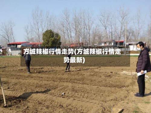 方城辣椒行情走势(方城辣椒行情走势最新)