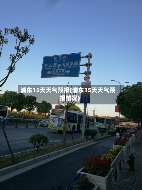 浦东15天天气预报(浦东15天天气预报情况)