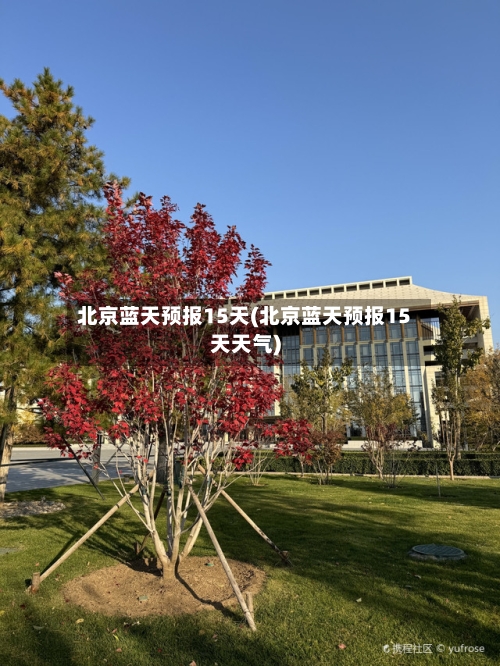 北京蓝天预报15天(北京蓝天预报15天天气)