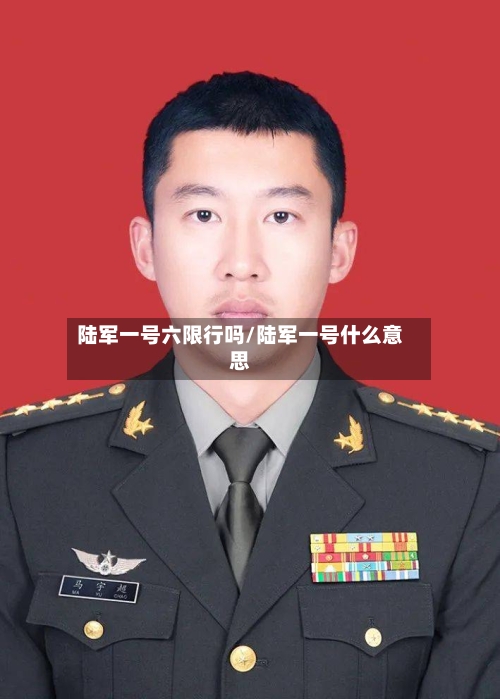 陆军一号六限行吗/陆军一号什么意思