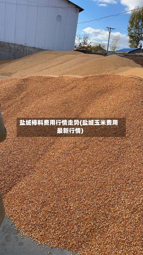 盐城棒料费用行情走势(盐城玉米费用最新行情)