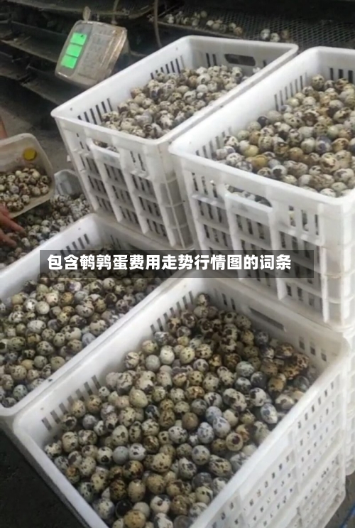 包含鹌鹑蛋费用走势行情图的词条