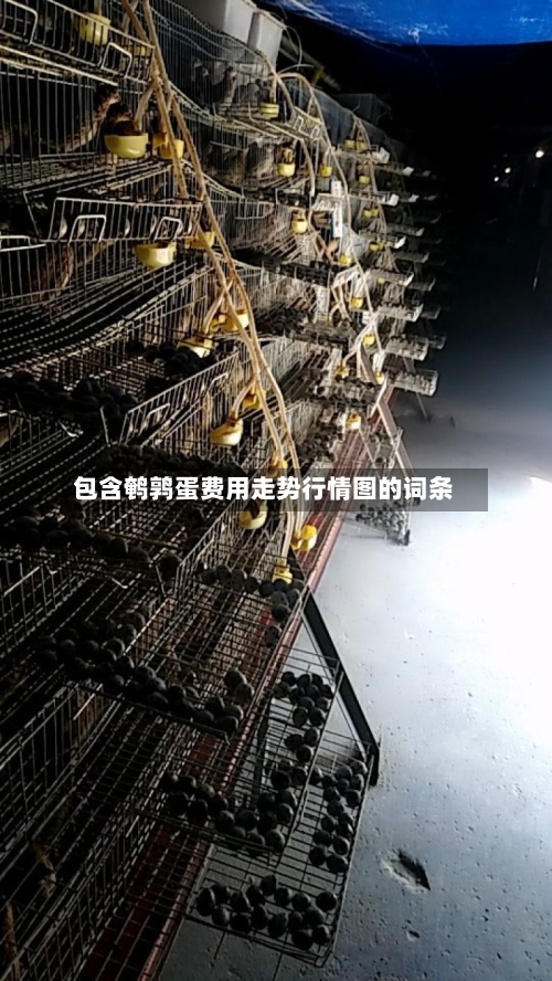 包含鹌鹑蛋费用走势行情图的词条
